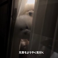 バレないで家を出られるか挑戦8