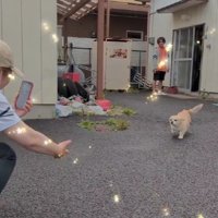 テクテク駆け寄るメルちゃん