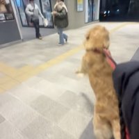 駆け寄ります！