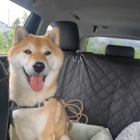 ソラくんはまだまだ元気そう！