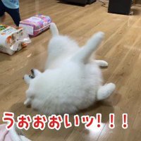 微妙に噛み合わなかった