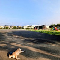 無防備に寝るのも好き