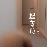 みーくんが起きてきた