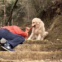 起こそうとしています！