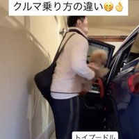 すんなり