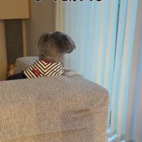 一時預かりのそらちゃん