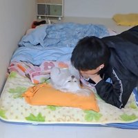 布団の上で仰向けになっている犬を隣で見つめる男の子