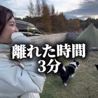 飼い主と戻る中型犬