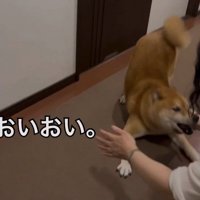 大はしゃぎ♪
