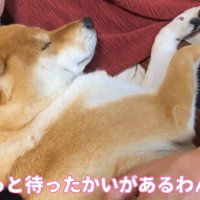 とっても幸せそう♡