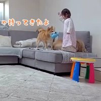 「ちょうだい」