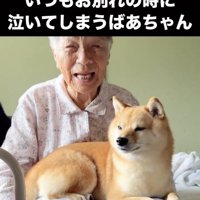 人のそばでくつろぐ犬