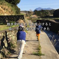 散歩中に駆け寄ってきた