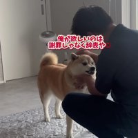 「絶対に許さない！！」