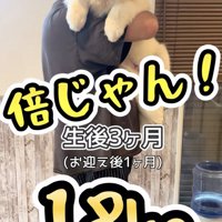 「大物」になりそうな予感