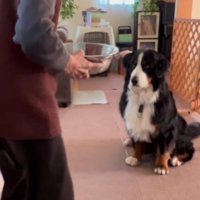 「お利口さんでした」