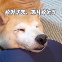 運命の出会いに感動