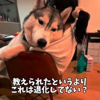 抱っこされる大型犬