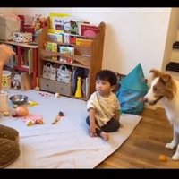 トリックをするパパ
