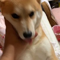 「帰ってきてたの！？おかえり～」