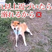 全力で拒否！