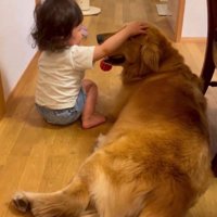 女の子とパトラちゃん