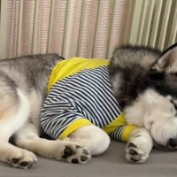 レオン