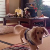「たくさんお話できた♪」