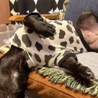 寝姿が人間みたい！？