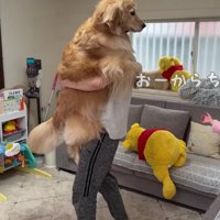 おからちゃんまで赤ちゃん返り！？