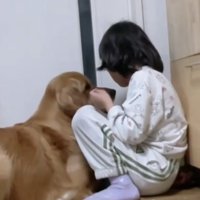 顔を寄せる犬と女の子
