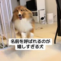 名前を呼ばれた時のリックくん3