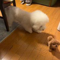 へっぴり腰で様子見