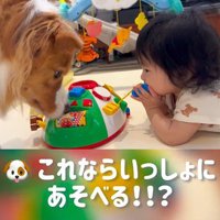 赤ちゃんを遊びに誘うまめ君9