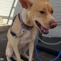 怯えてしまうことも…