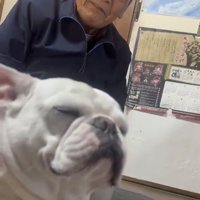 目を細める犬