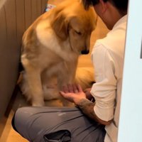 おかわりと言うパパ