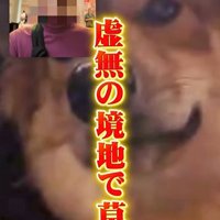 ママさん旅行中のラッキーくん9