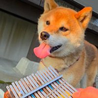 セッション