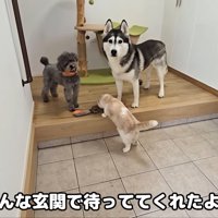 待っていてくれました！