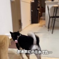 お水よりパパです