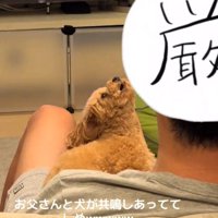 遠吠えするあられちゃん