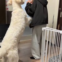 ソラちゃんの熱烈歓迎7