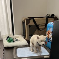 踏ん張る