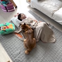 寄り添って看病してくれています