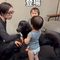 「まぁまぁ落ち着いて」