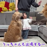 ハイハイレースをやってみよう