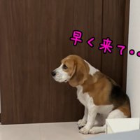 パパさんを待っています