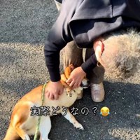 問いかける飼い主さん