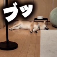 豪快なオナラ！
